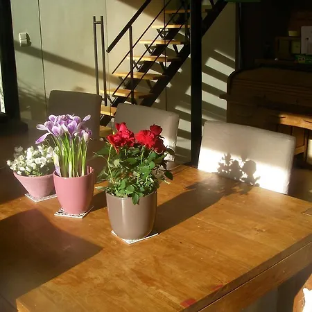 Tatil Evi Holiday Sweet Dreams Braine-lʼAlleud