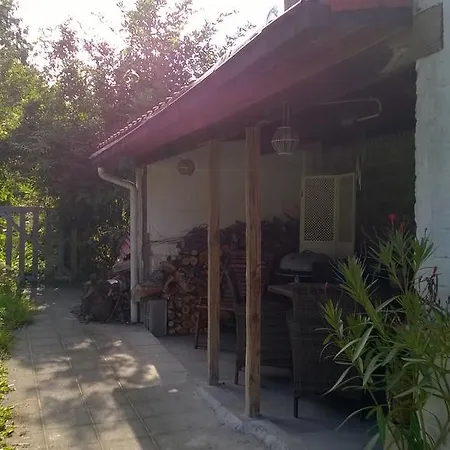 Tatil Evi Holiday Sweet Dreams *